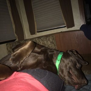 Meet your Posher, Angeline